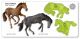Wild Horses with Western Feature -Set of 2