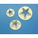 Star Cutter Set of 3