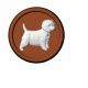 WEST HIGHLAND TERRIER CHOC