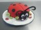 "Adorable Lady Bug" Cake Class at Sweet Wise: February 8th, 2015: 2:00pm - 4:00pm 
