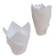 White Tulip baking cup  / Cupcake Liner  /  50 count